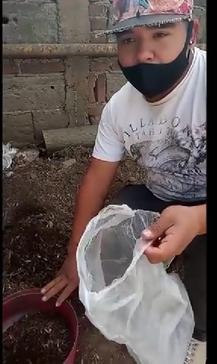 Estudiante reutilizando bolsa de plástico