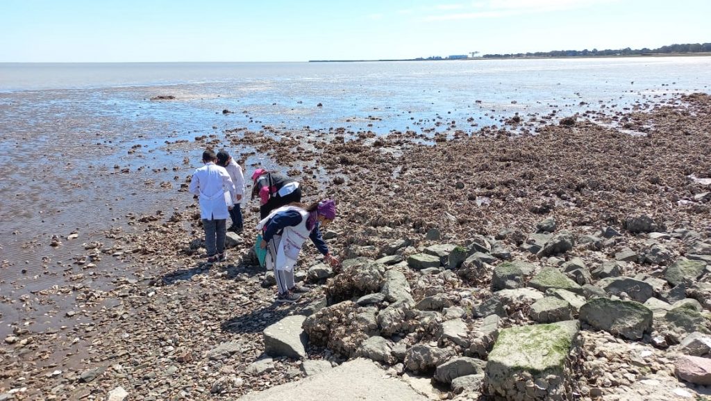 Estudiantes en la playa observando las ostras