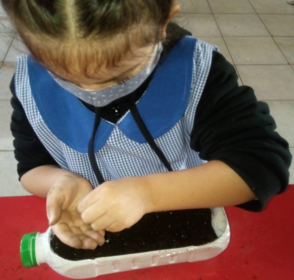 Niña sembrando semillas en maceta con barro
