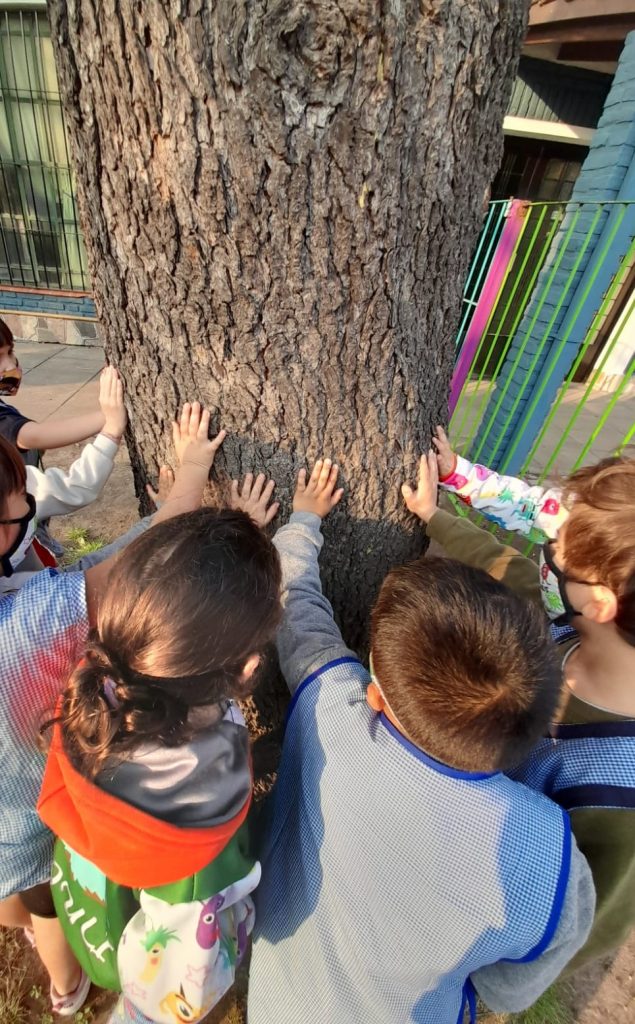Estudiantes tocando un árbol